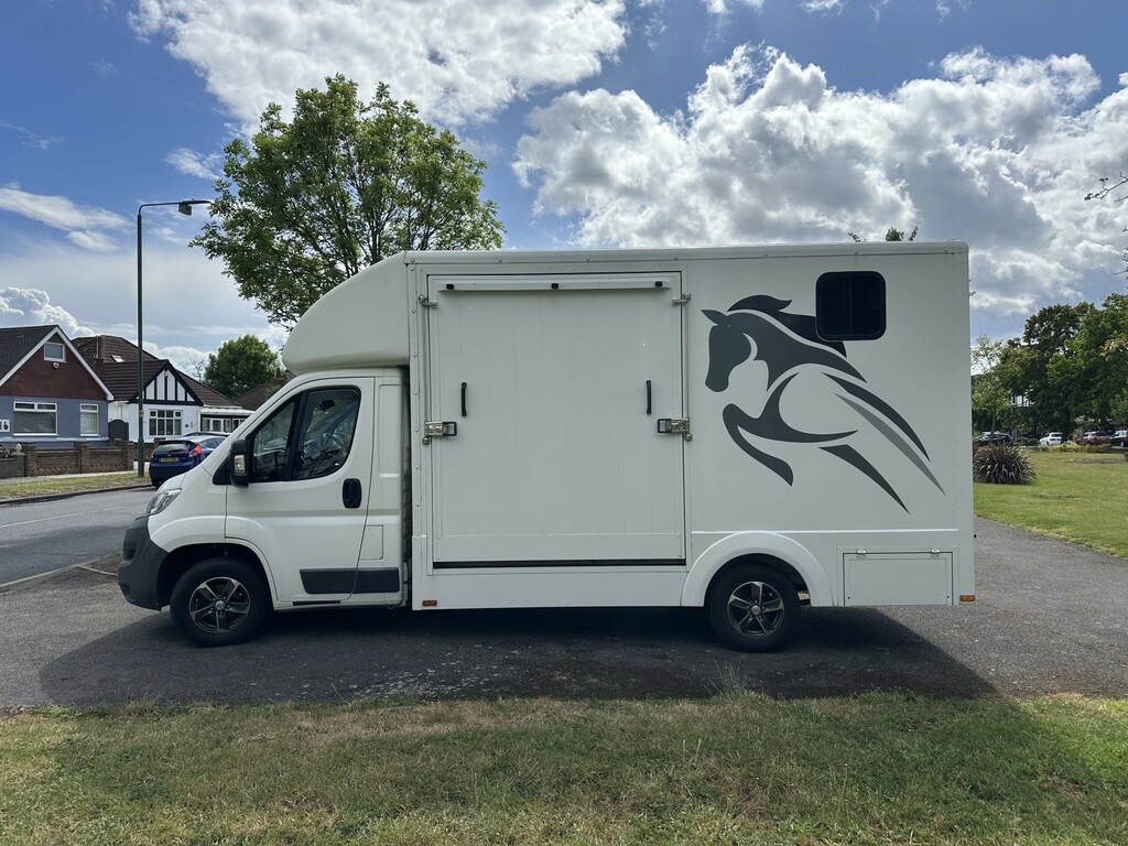 Citroen Relay Chassis Cab Horse Box 2.0 Bluehdi 35 201717 White #5