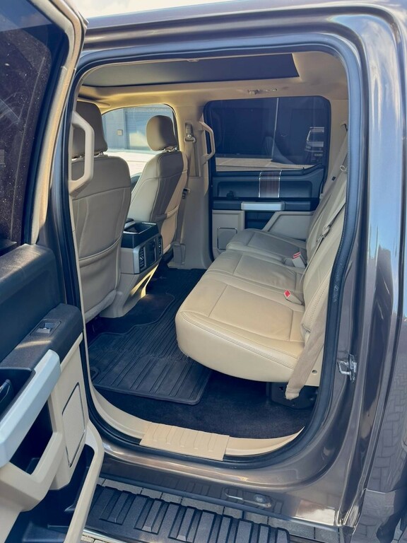 Ford F-150 V6 Ecoboost Platinum Lobo Grey #9
