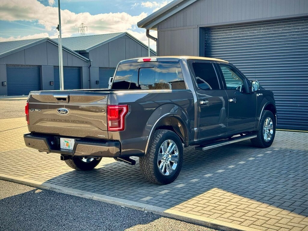 Ford F-150 V6 Ecoboost Platinum Lobo Grey #14