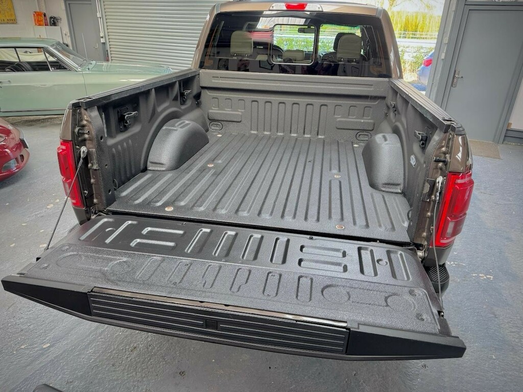 Ford F-150 V6 Ecoboost Platinum Lobo Grey #18