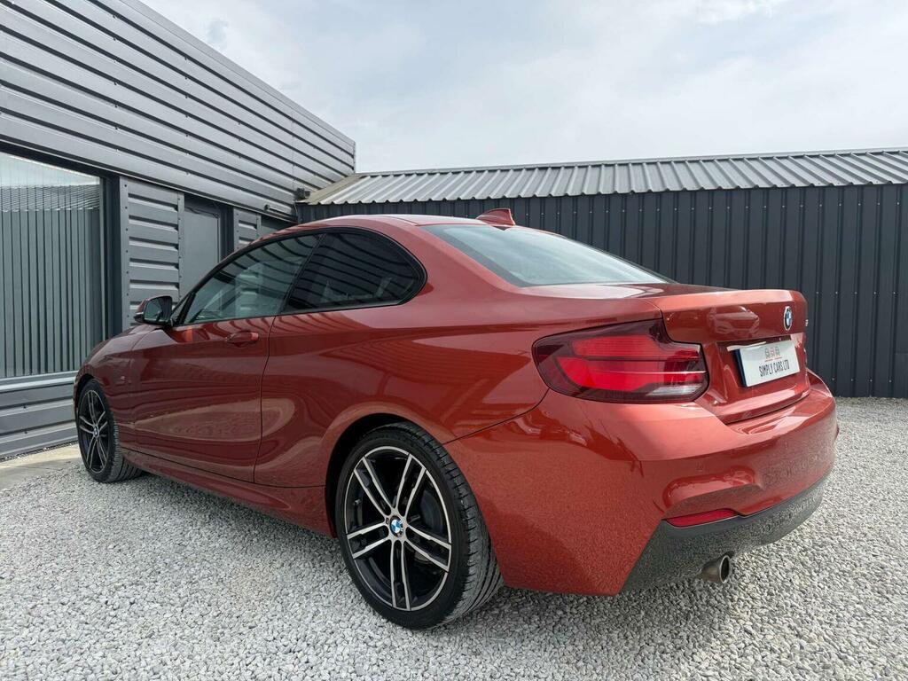 BMW 2 Series 1.5 218I Gpf M Sport Euro 6 Ss 20191 HD19ETZ Orange #5