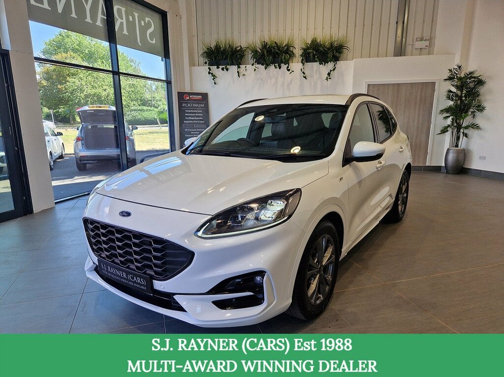 Ford Kuga Ecoblue St-line Edition White