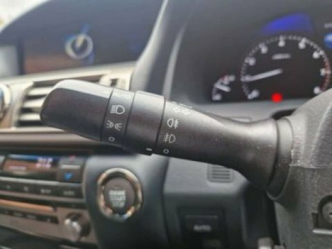 Lexus LS 460 Luxury  #27