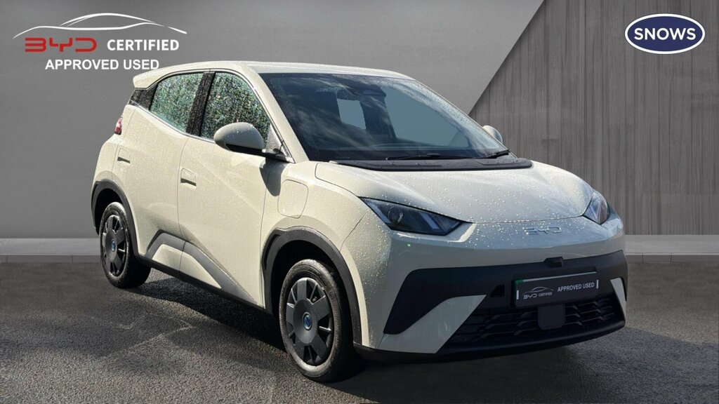 Byd Dolphin 30Kwh Active