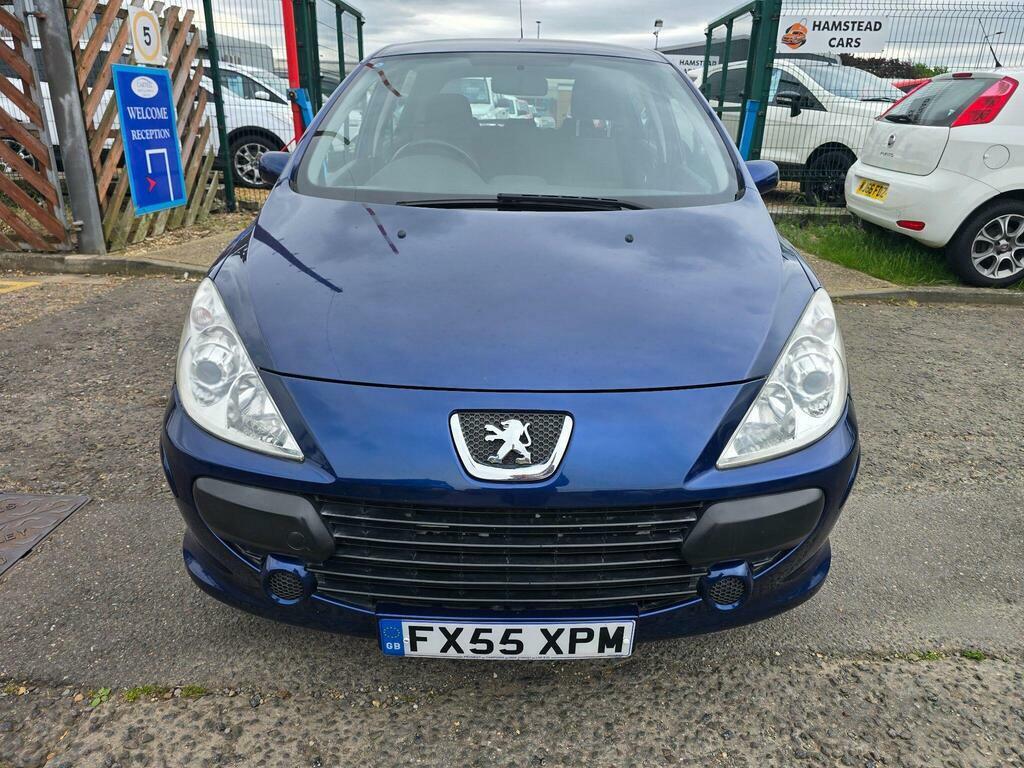 Peugeot 307 S Blue #8