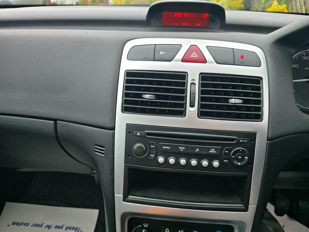 Peugeot 307 S Blue #17