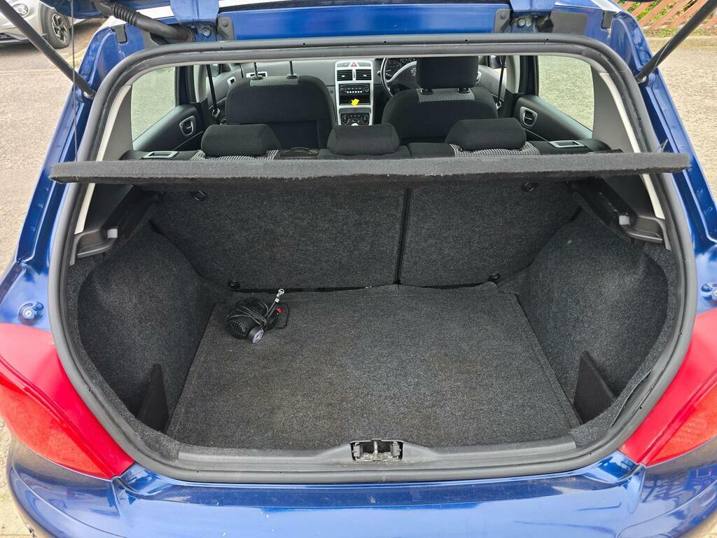 Peugeot 307 S Blue #13