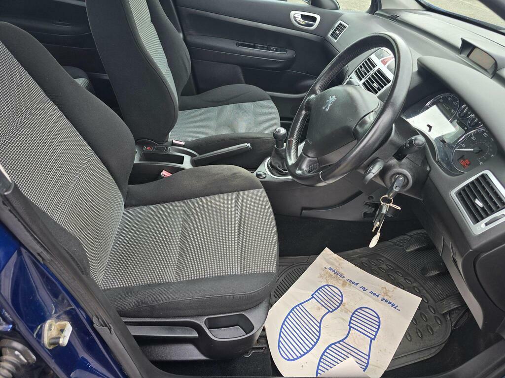 Peugeot 307 S Blue #10