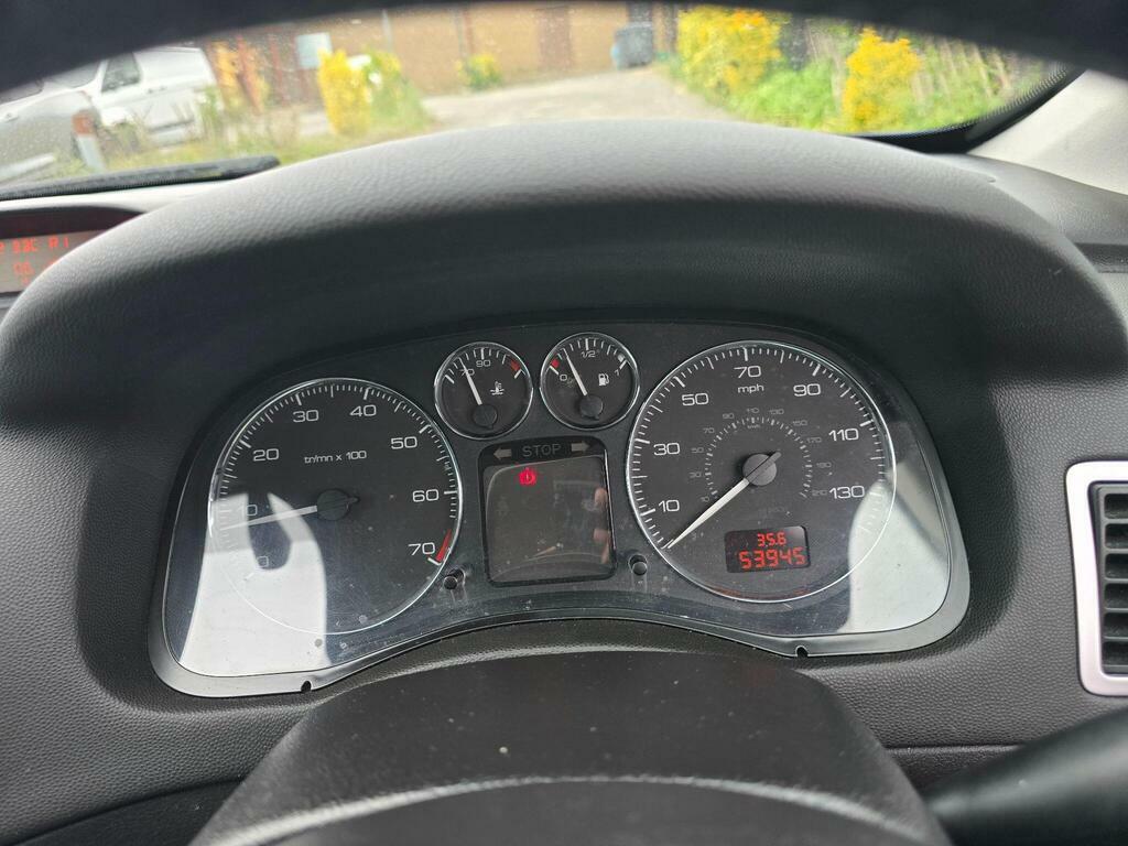 Peugeot 307 S Blue #19