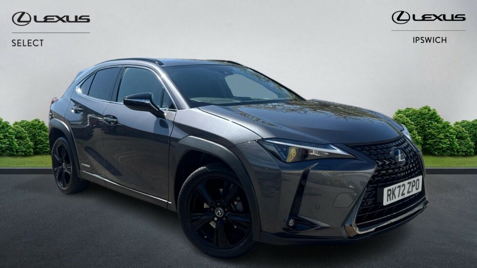 Lexus UX 2.0 250H Premium Sport Edition E-cvt Euro 6 Ss Grey