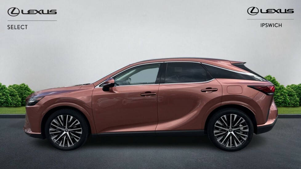 Lexus RX 2.5 450H 18.1Kwh Prem Plus E-cvt 4Wd Euro 6 Ss AV74GJK  #3