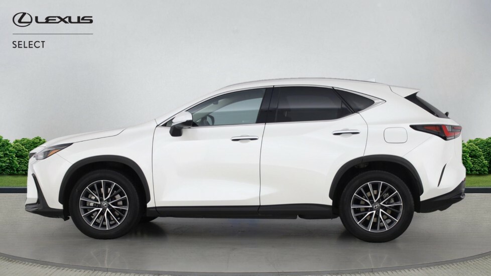Lexus NX 2.5 450H 18.1Kwh Premium Suv Plug-in H WN74XRS White #3