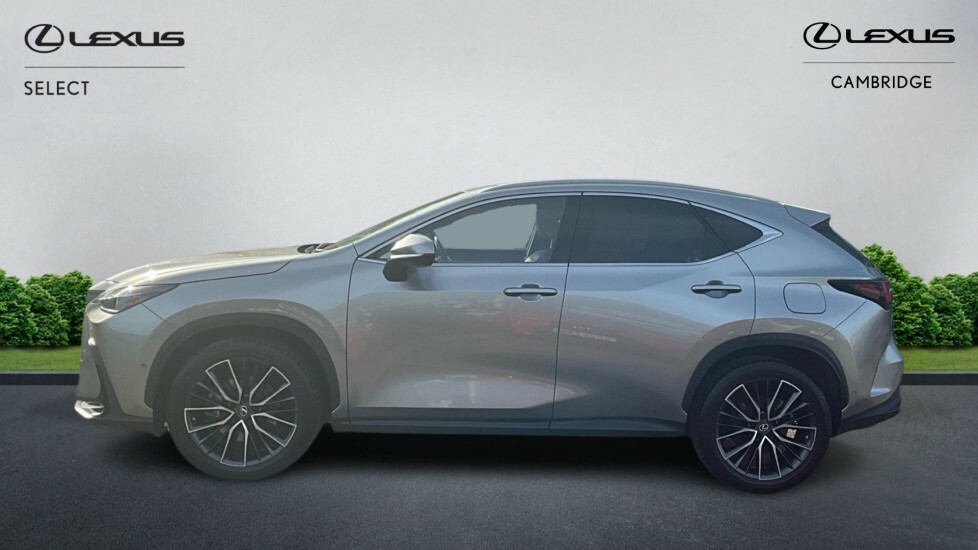 Lexus NX 2.5 450H 18.1Kwh Takumi E-cvt 4Wd Euro 6 Ss AD71BYX Silver #3