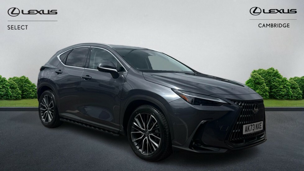 Lexus NX 2.5 450H 18.1Kwh Takumi E-cvt 4Wd Euro 6 Ss Grey