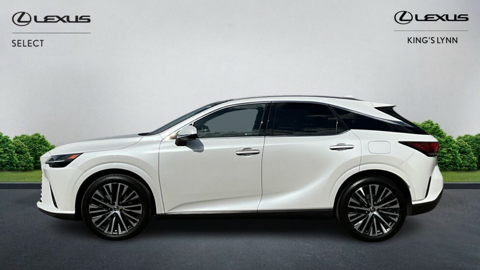 Lexus RX 2.5 450H 18.1Kwh Prem Plus E-cvt 4Wd Euro 6 Ss White #3