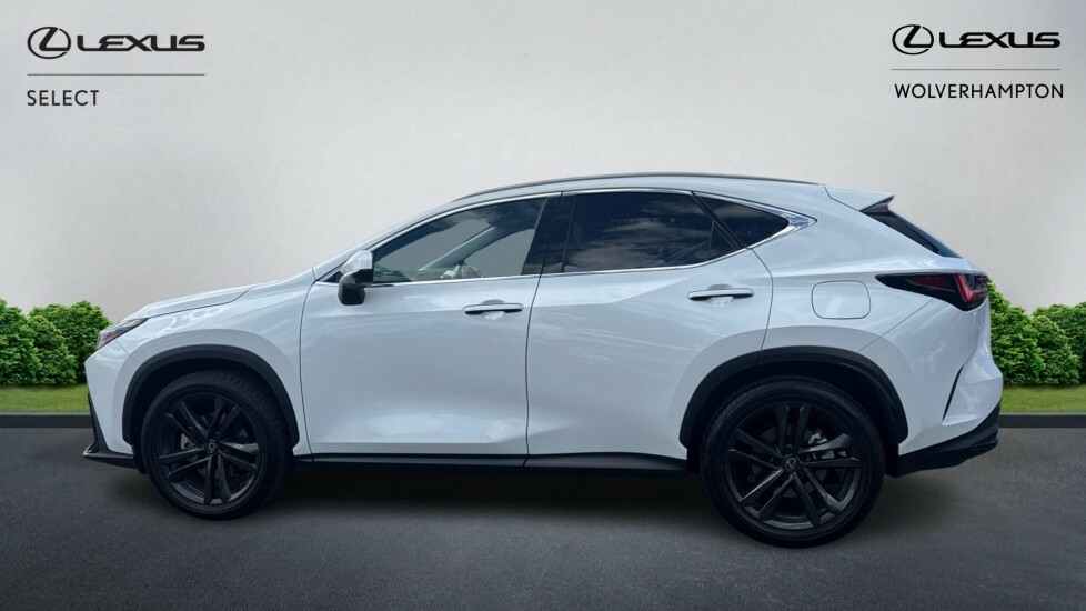 Lexus NX 2.5 350H Premium Plus E-cvt 4Wd Euro 6 Ss BV26YSS White #3