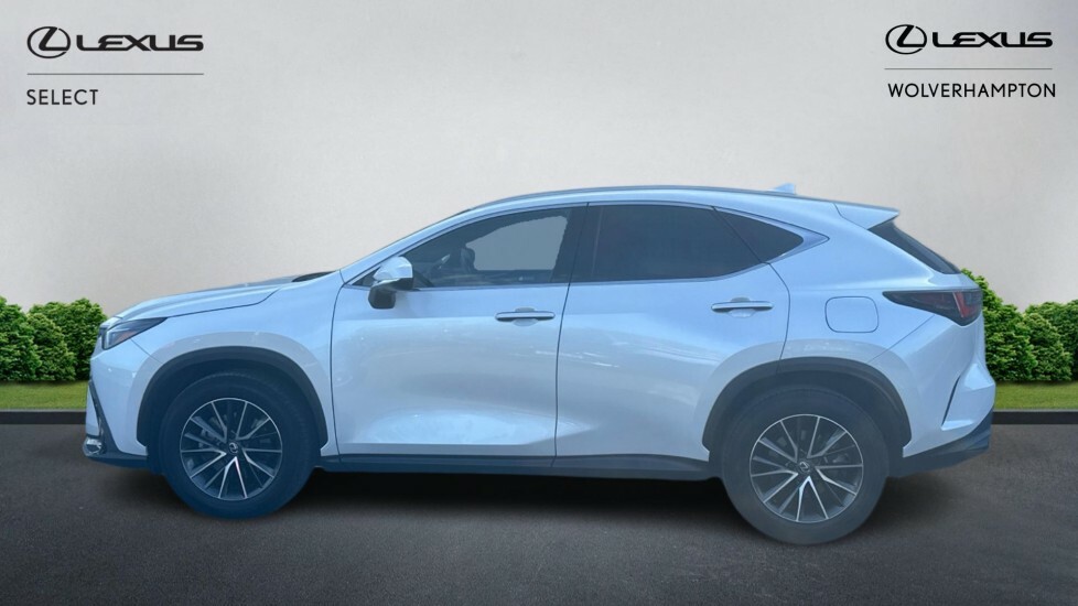 Lexus NX 2.5 350H E-cvt 4Wd Euro 6 Ss BP73YZZ White #3