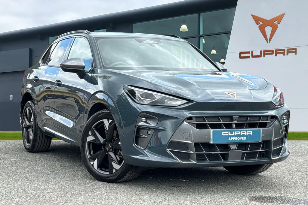 Cupra Terramar 1.5 Etsi V2 Dsg Euro 6 Ss Blue