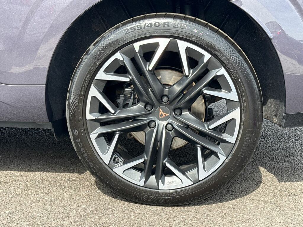 Cupra Terramar 2.0 Tsi 265 Vz2 Dsg 4Drive Trailer Towing D Purple #6