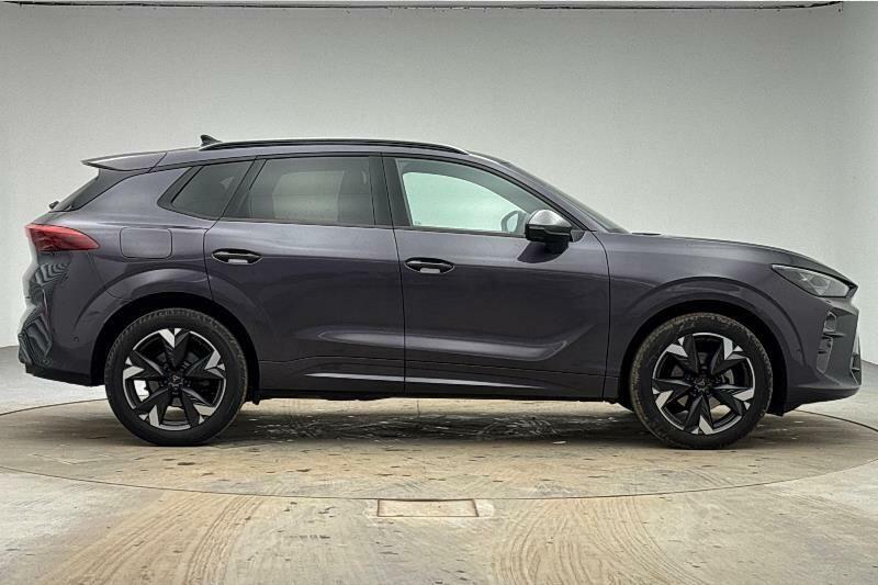 Cupra Terramar 1.5 Etsi V2 Dsg Euro 6 Ss Purple #5