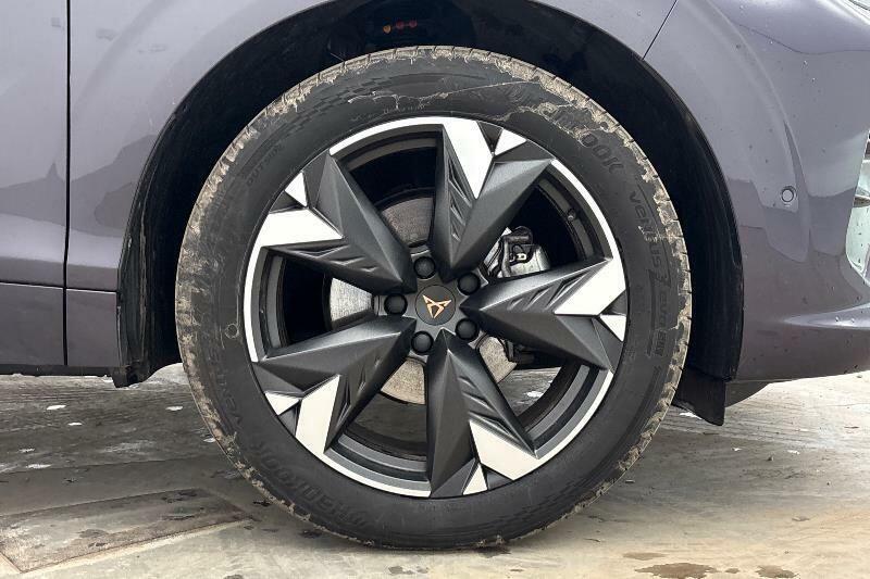 Cupra Terramar 1.5 Etsi V2 Dsg Euro 6 Ss Purple #6