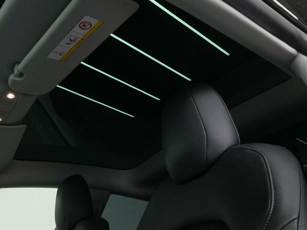 Tesla Model 3 Performance Awd 4Wd GJ69OAU #4