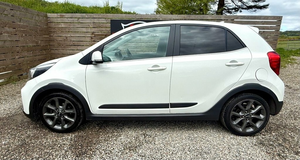 Kia Picanto 1.3L X-line SA69WYJ White #6