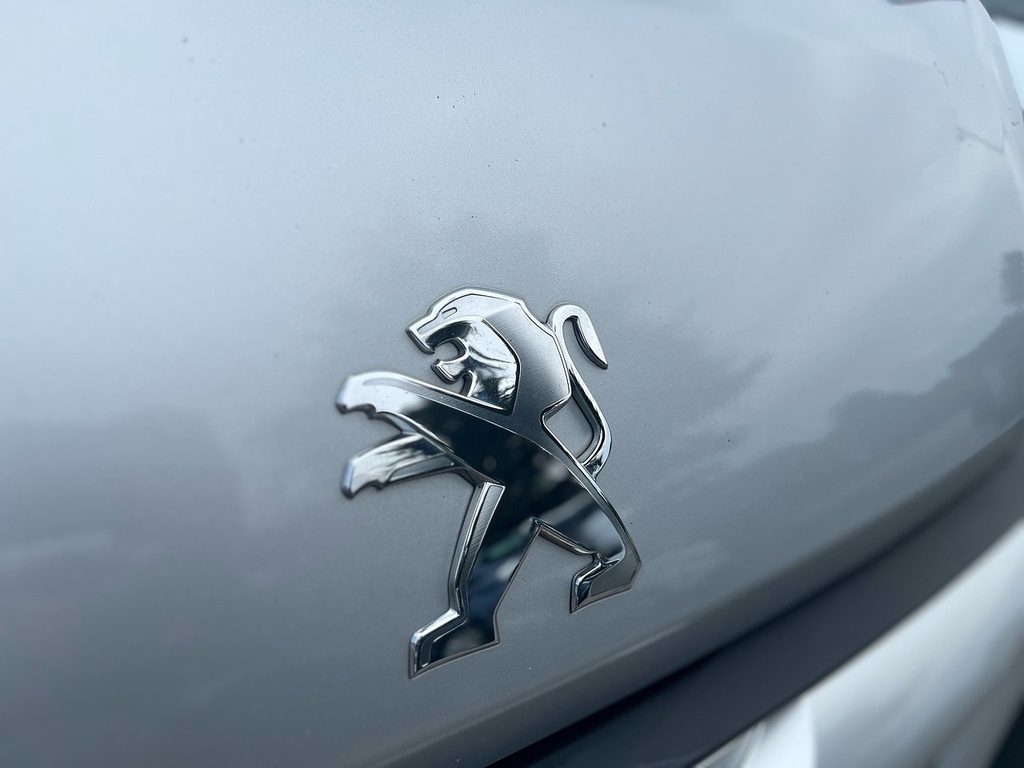 Peugeot Boxer 2.0 Bluehdi 335 Professional Panel Van GD18MHE Silver #6