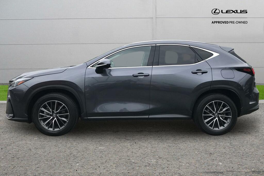Lexus NX 2.5 350H Premium E-cvt 4Wd Euro 6 Ss YC75ACZ Grey #3