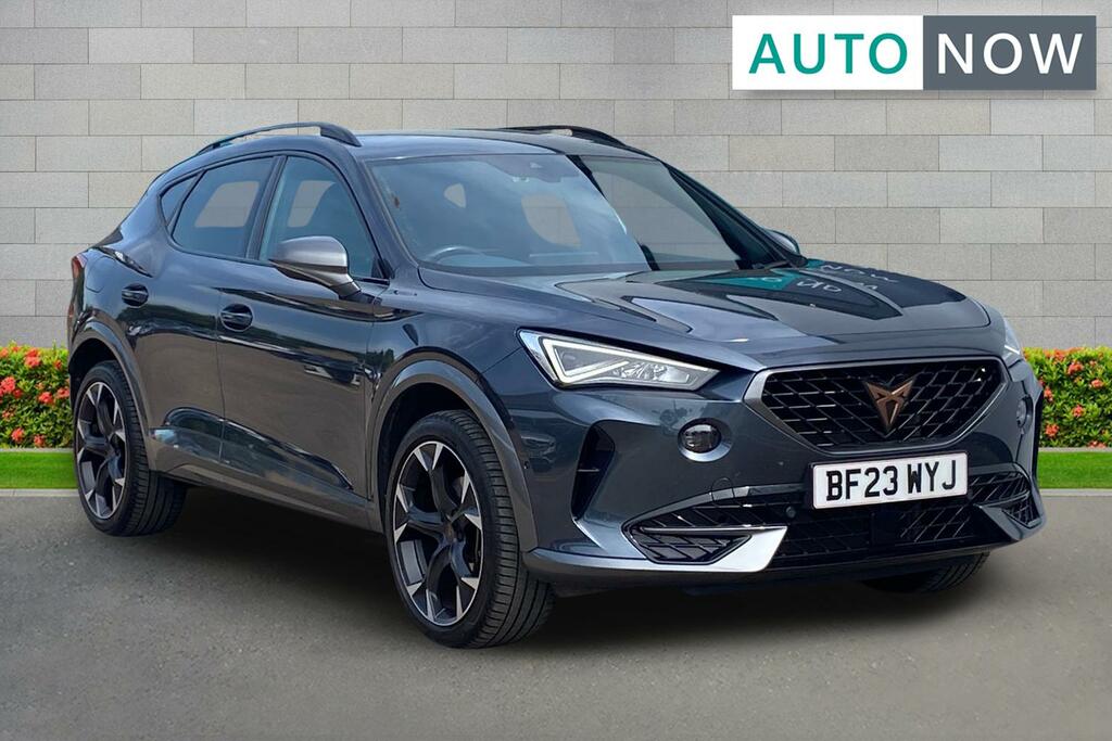 Cupra Formentor Cupra Formentor 1.5 Tsi V2 Suv Dsg Euro Grey
