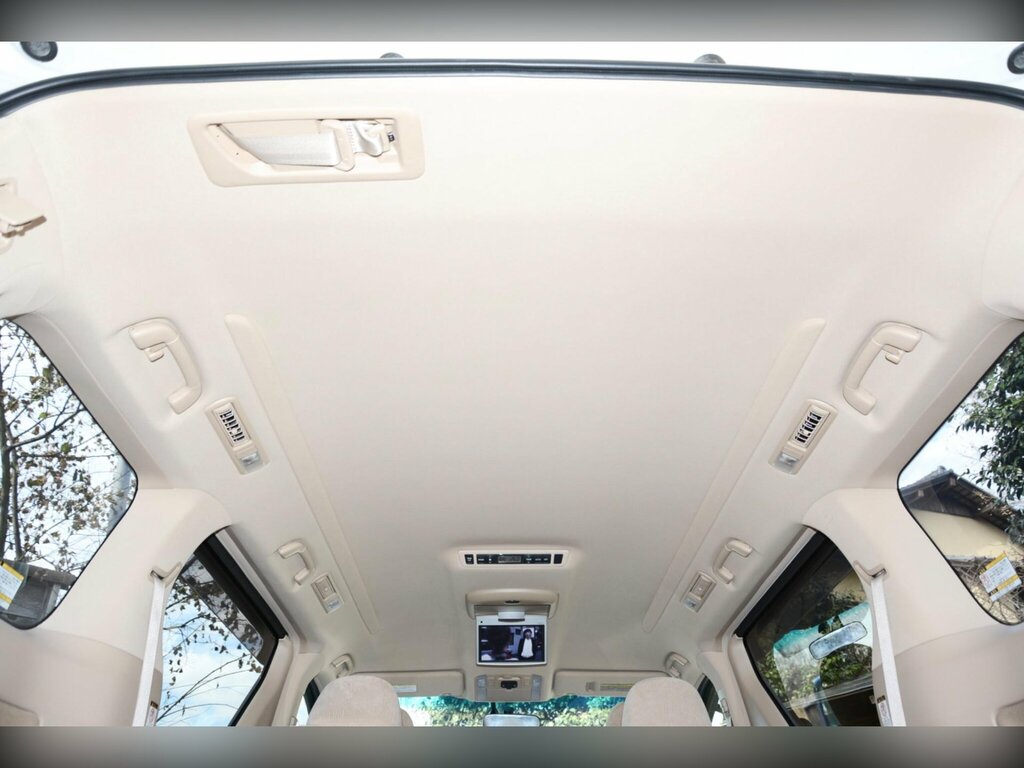 Toyota Alphard Hatchback V-spec 200808 White #33