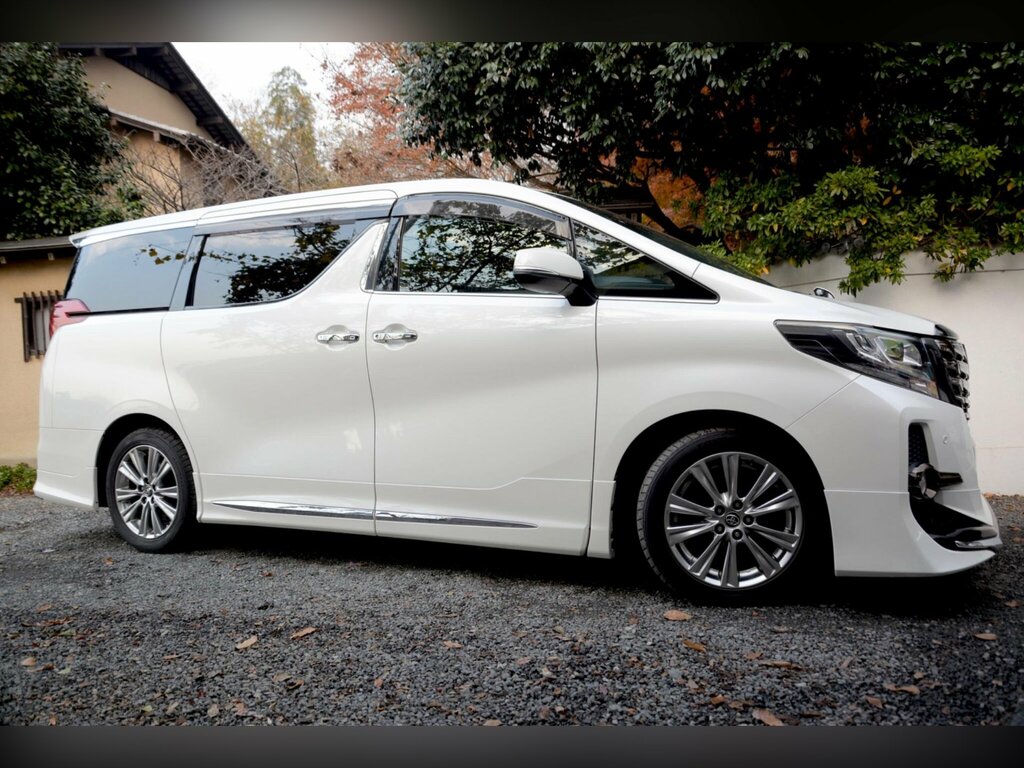 Toyota Alphard 2.5 S A Type Black-modelista Styling White #6