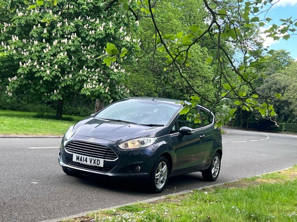Ford Fiesta 1L Zetec Grey #3