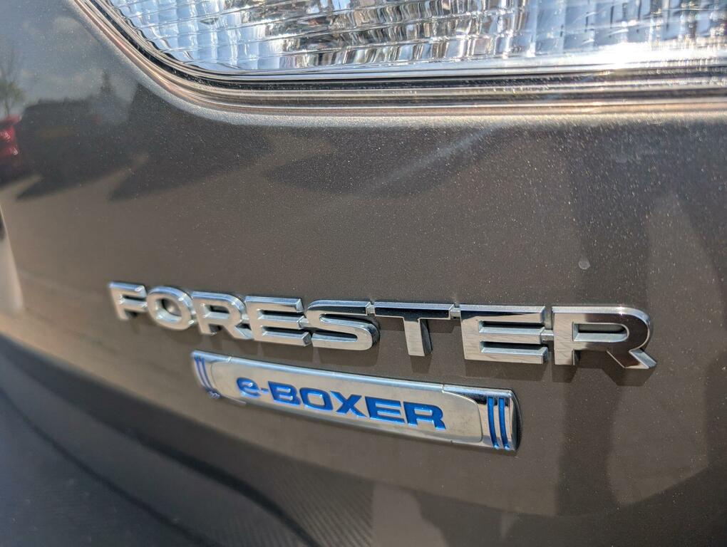 Subaru Forester  Green #37