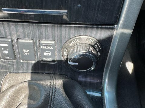 Nissan Pathfinder Silver #24