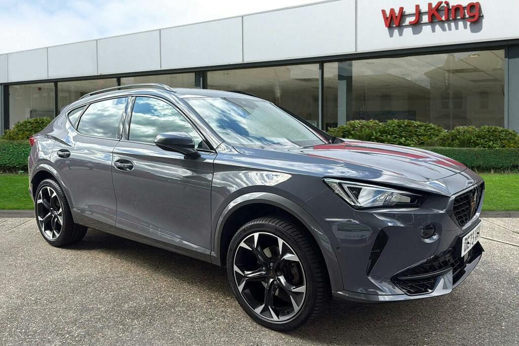 Cupra Formentor 1.5 Tsi V2 Suv Dsg Grey
