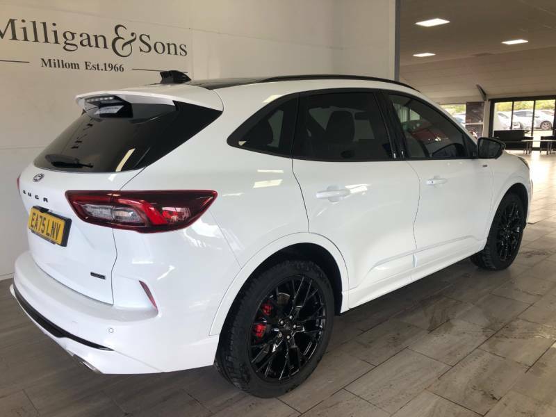 Ford Kuga 2.5 Phev St-line X Black Package Cvt - 2025 7 EA75LNV White #4
