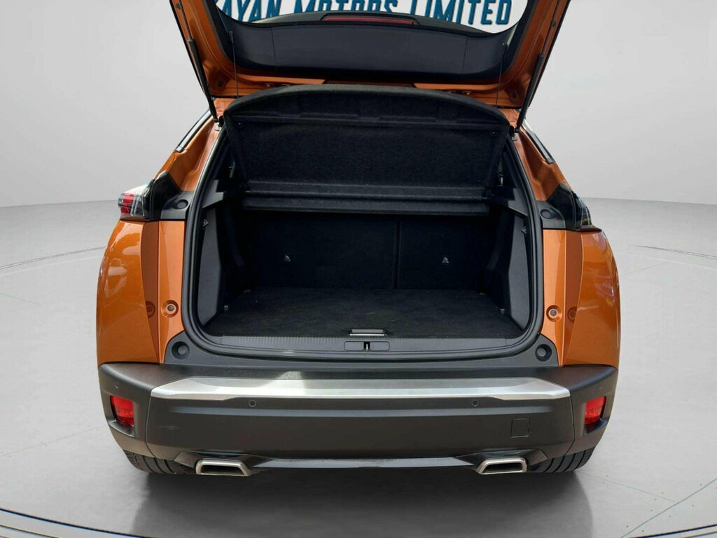 Peugeot 2008 Active Orange #9