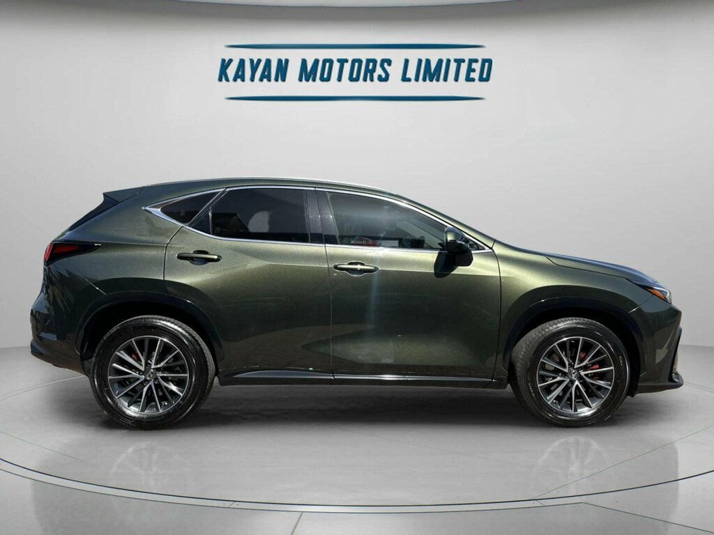 Lexus NX 2.5 350H E-cvt 4Wd Euro 6 Ss Green #4