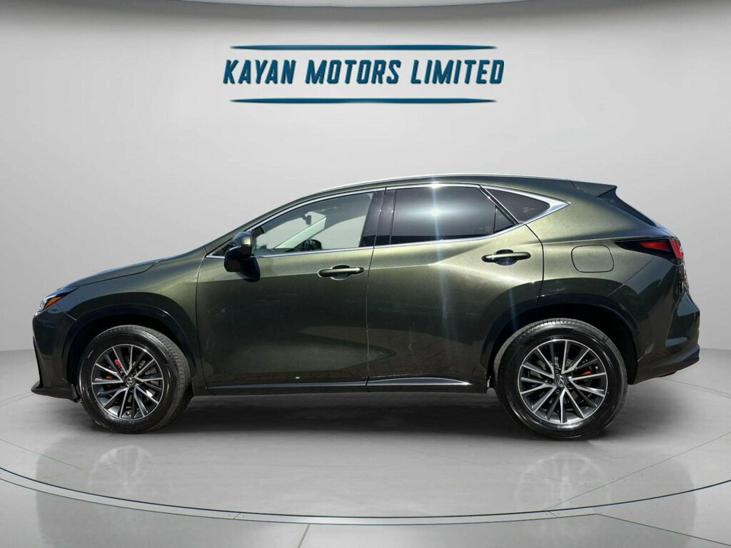 Lexus NX 2.5 350H E-cvt 4Wd Euro 6 Ss Green #6