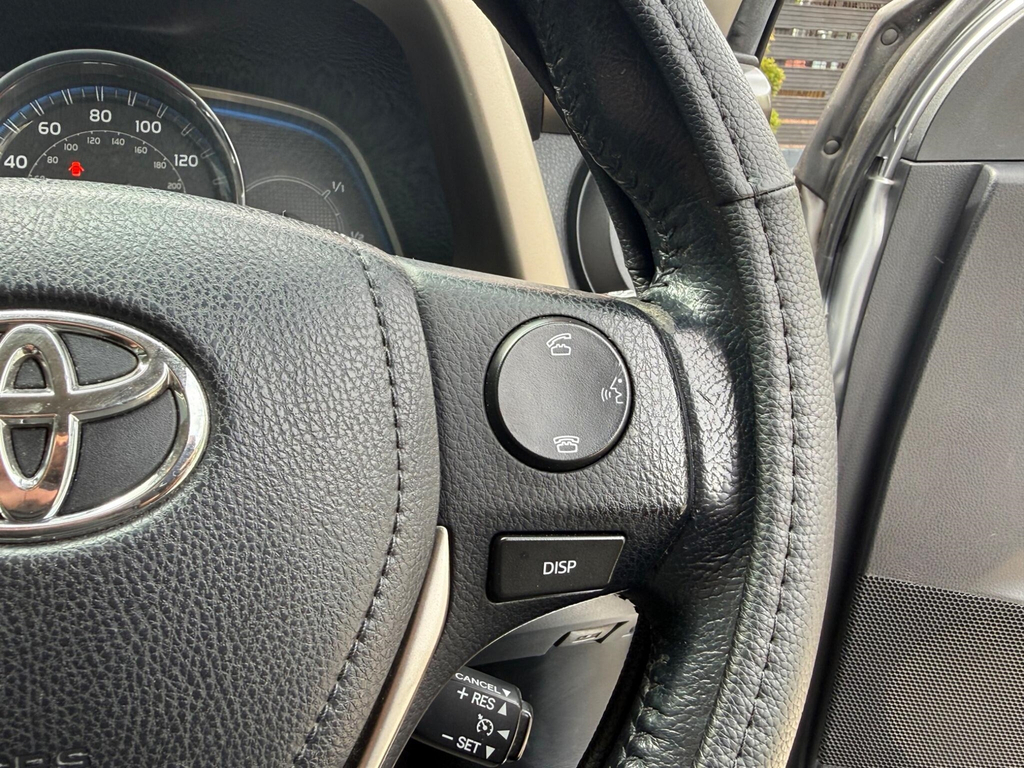 Toyota Rav 4 2.2 D-cat Invincible Beige #32