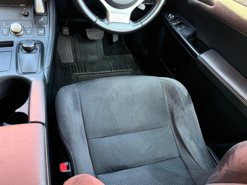 Lexus CT Hatchback Red #25