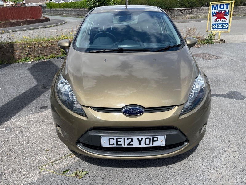 Ford Fiesta Edge Brown #2