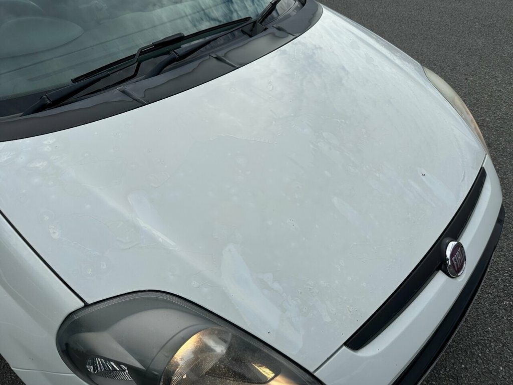 Fiat Punto Evo Evo 1.4 Dynamic Dualogic Euro 5 Ss White #9