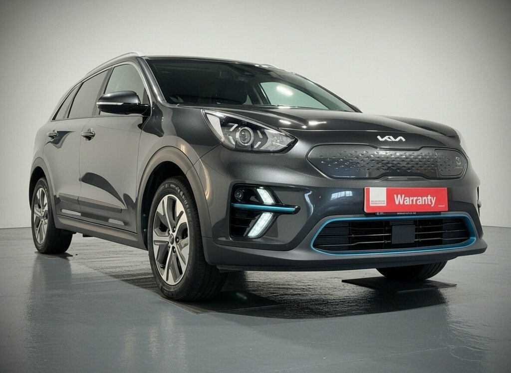 Kia e-Niro Suv Grey
