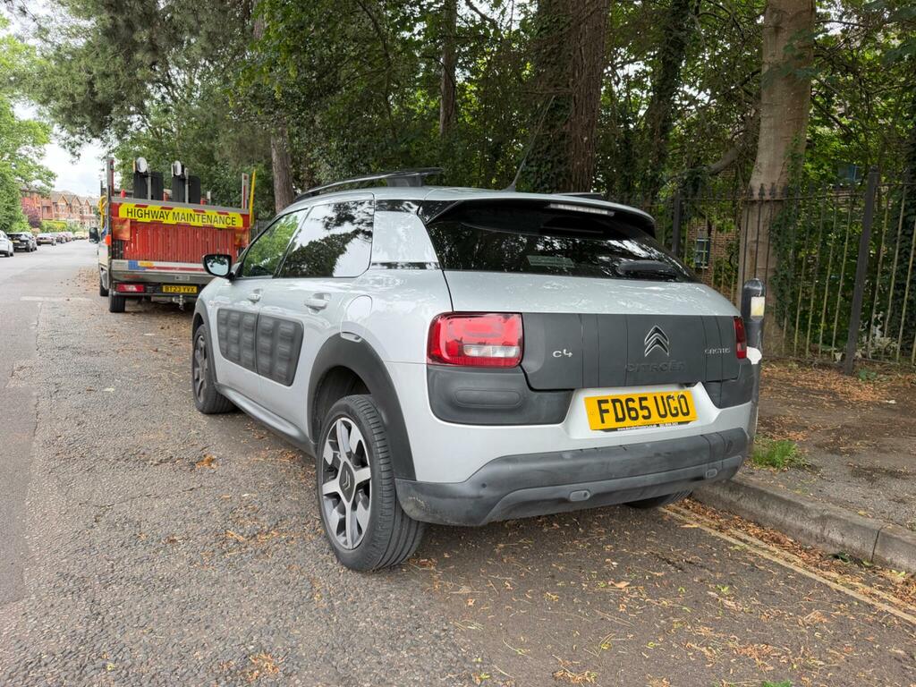 Citroen C4 Cactus Flair Silver #5