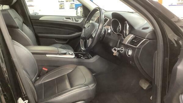 Mercedes-Benz M Class Se Black #6