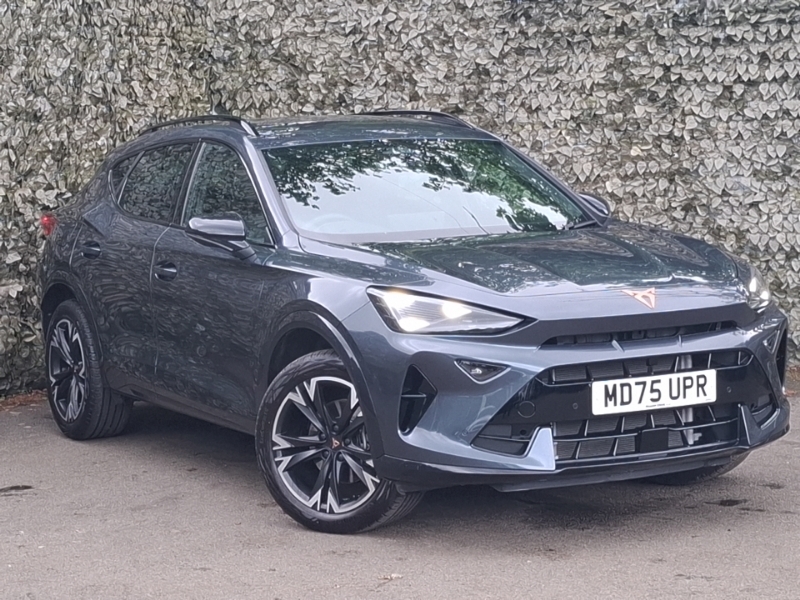 Cupra Formentor 1.5 Tsi 150 V1 Grey