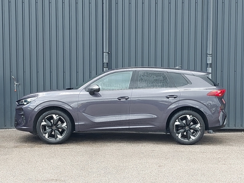 Cupra Terramar 1.5 Etsi 150 V2 Dsg Purple #4