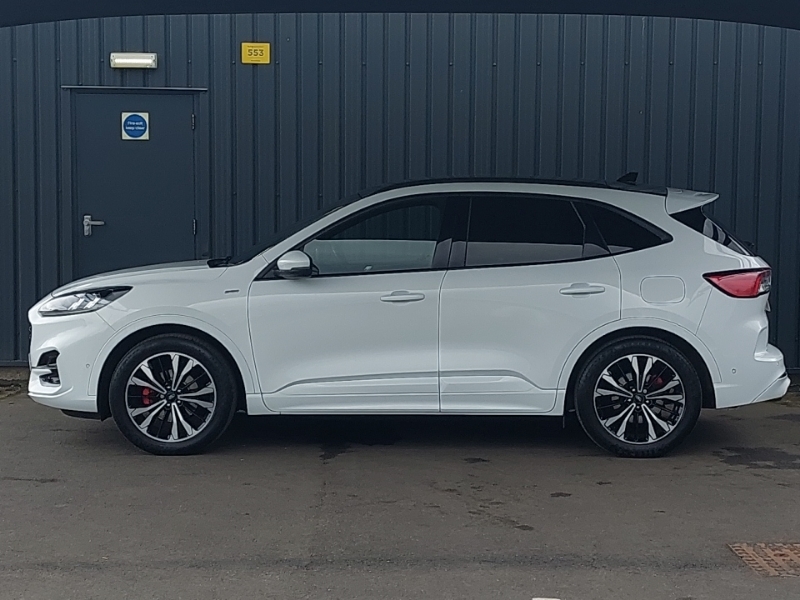 Ford Kuga 1.5 Ecoblue St-line X White #4